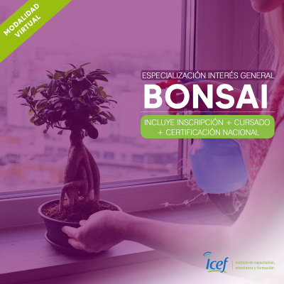 BONSAI-1.png