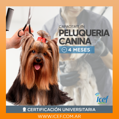 PELUQUERIA-CANINA-2.png